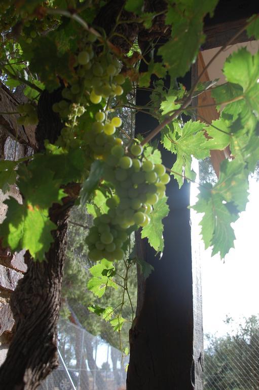 Apartamentos Rurales Las Caleras Almagro Kültér fotó